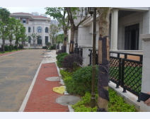 花園小區井蓋案例